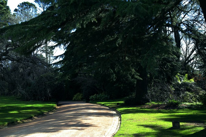 IMG_0991_MiltonParkdrive_300_sml_9-7-17